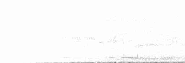 holub klínoocasý - ML609492191