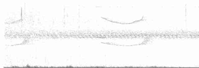 Band-winged Nightjar (longirostris) - ML609495443