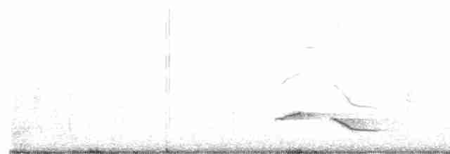 Пестрокрылая йора - ML609497591