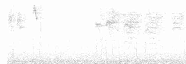 Каштановоспинная гаичка - ML609497790