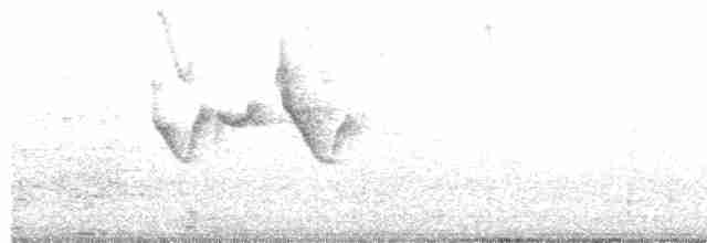 Uzun Kuyruklu Baştankara [europaeus grubu] - ML609499033