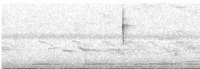 Toucan Barbet - ML609501802