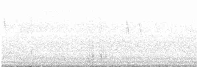 Gray Wagtail - ML609502381