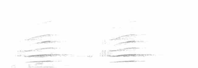 Toucan montagnard - ML609511946