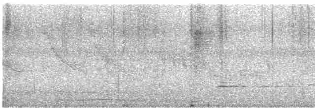 Small-billed Tinamou - ML609514602