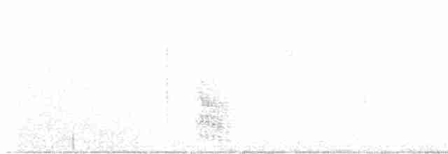 Oriole unifascié - ML609517648