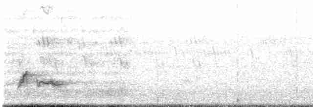 holub fialovoramenný - ML609520214