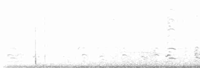 Малая канадская казарка - ML609525228