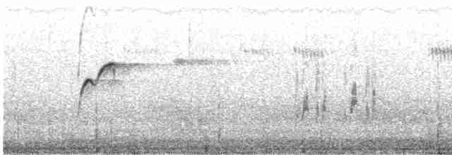 Batı Amerika Sinekkapanı (occidentalis/hellmayri) - ML609525289