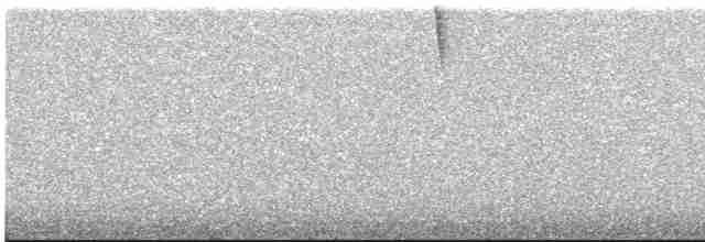 Белокрылая атлапета - ML609525441