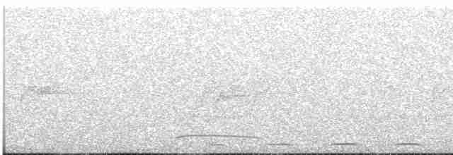 Голоногая совка - ML609526245