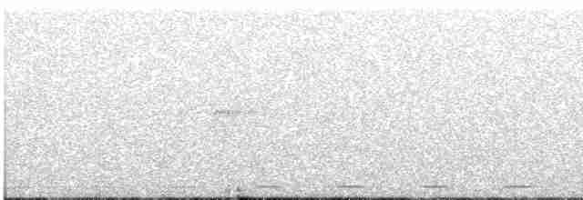 Голоногая совка - ML609526246