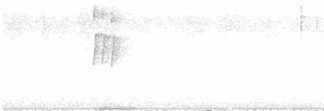 Gri Başlı Kanarya Sinekkapanı - ML609528431