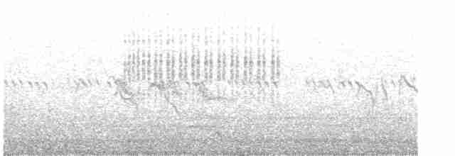 Кропив’янка піренейська - ML609530421