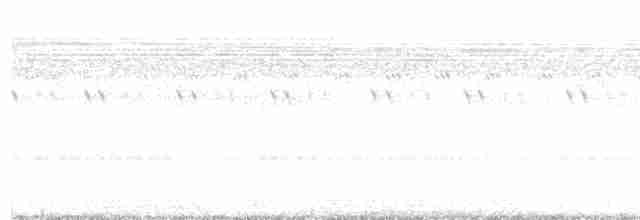 White-winged Nightjar - ML609531955