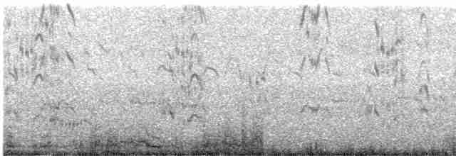 Крячок рябодзьобий - ML609532050