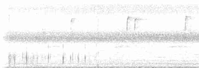 Чернокрылая пиранга - ML609532473
