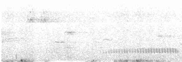 Eurasian Nightjar - ML609544513