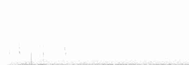 Münzevi Bülbül Ardıcı - ML609546843