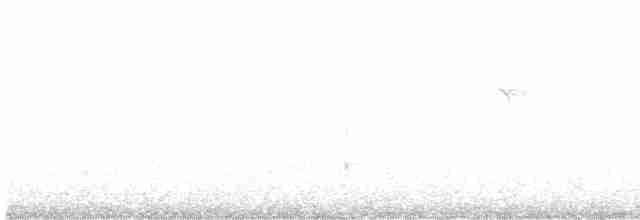 Black-crowned Night-Heron - ML609552160