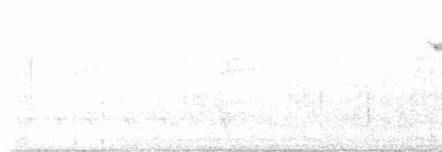 Eurasian Magpie (Eurasian) - ML609553439