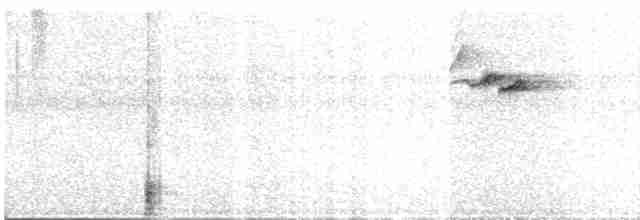 Белокрылая пиранга - ML609555542