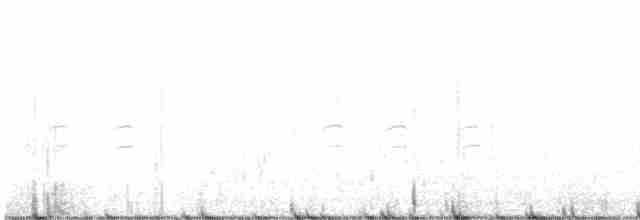 křivka bělokřídlá - ML609556944