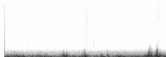 Plectrophane à ventre gris - ML609559911