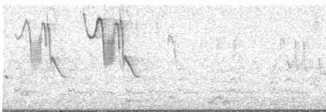 Band-tailed Sierra Finch - ML609565289