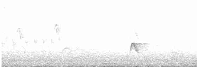 White-crested Elaenia - ML609565350