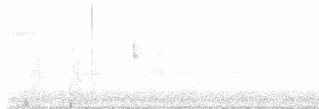 Hooded Warbler - ML609565889