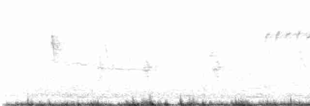 Black-capped Chickadee - ML609570187