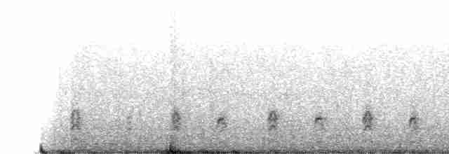 Bécassine de Magellan - ML609572259