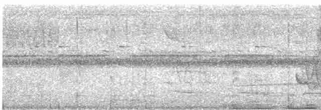 Atlantik Kara Gerdanlı Trogonu - ML609572927