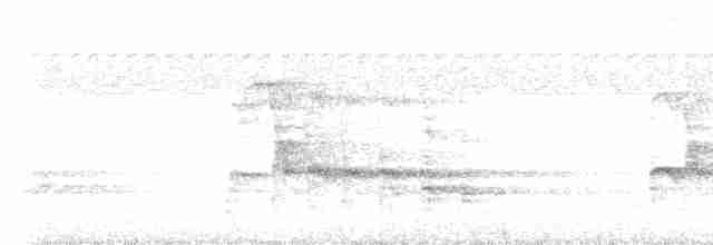 Bald Eagle - ML609577416