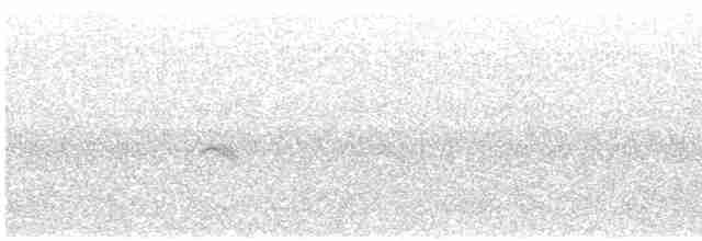 Gray-cheeked Thrush - ML609577453