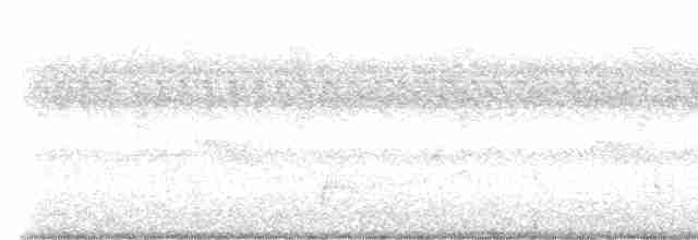 brunkinnskogtrost (swainsoni gr.) - ML609577661