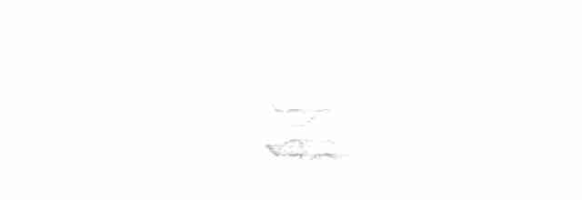 østblåfugl - ML609579022