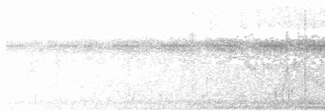 Gray-crowned Yellowthroat - ML609580145