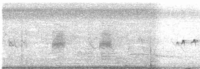 Ashy Prinia - ML609586501
