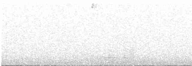 Tinamou de Darwin - ML609591834