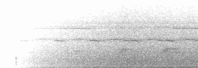 Grauscheitel-Ameisenvogel - ML609591980