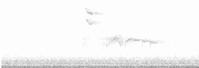 Spotted Flycatcher - ML609593415