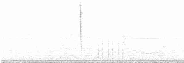 Conirostre oreillard - ML609594004