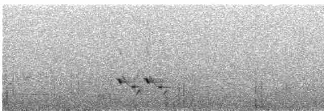 Streifenpanthervogel - ML609597695