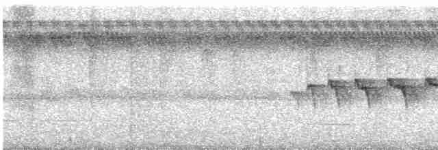 Kara Gerdanlı Karıncakuşu - ML609599833