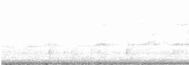 Скопа (cristatus) - ML609600175