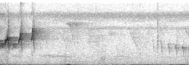 svarthakemaurvarsler - ML60961