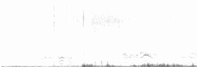Pin-tailed Sandgrouse - ML609613645