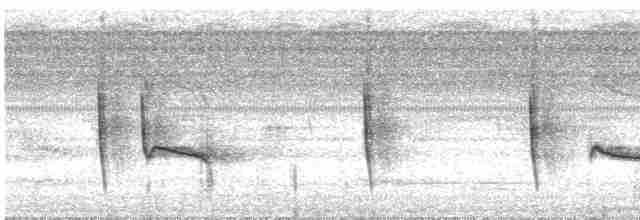 Braunscheitel-Ameisenvogel - ML609619383